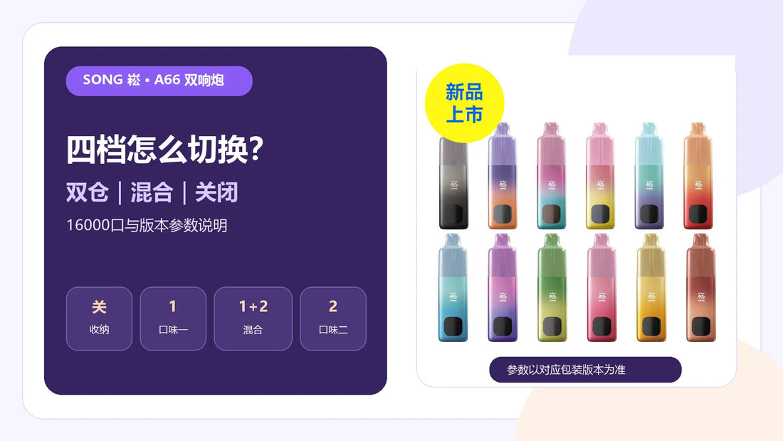 崧SONG A66双响炮四档口味切换与16000口参数说明封面