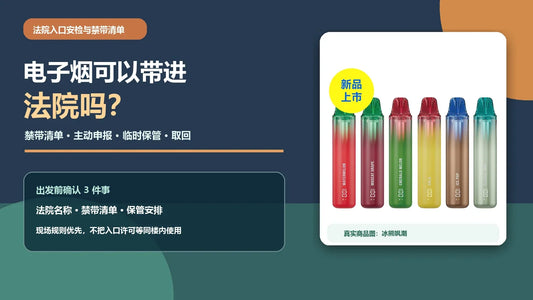 电子烟法院到访指南，说明出发前查禁带清单、入口安检、主动申报、临时保管和离场取回，并配冰熊飒潮真实商品图