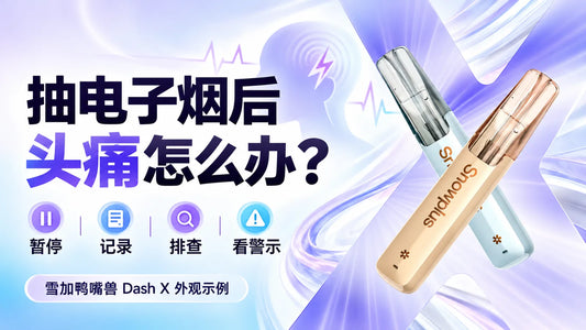 抽电子烟后头痛怎么办与雪加鸭嘴兽Dash X外观示例