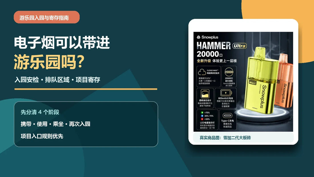 电子烟游乐园入园与寄存指南，说明安检、排队区、游乐设施和储物柜，并配雪加大板砖真实商品图